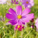 모예게스트하우스 이미지