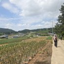 복룡축산 티스토리