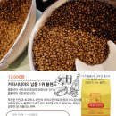 커피콜라주