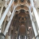 훼밀리아 이미지