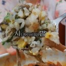 백토미가 이미지