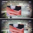 미국 교통안전청 감시 프로그램 이미지