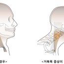 053짐 이미지