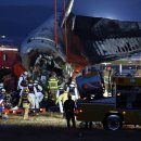 민들레홀딩스 이미지