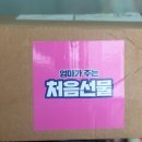 물연구소 | [임신축하박스] 우리아이연구소 83차 '처음선물' 언박싱! 알찬 구성 감동 수령 후기🎁✨