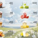 괘릉초등학교 이미지