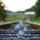 토닥토닥 이미지