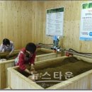 편백힐링스토리