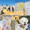 부산시민공원 직원식당 | 부산 시민공원 햇볕충전소 후기 피그닉을 곁들인