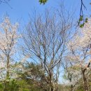 나무아래분식 이미지