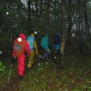 Because it&#39;s there(낙동정맥 10차, 피나무재..질고개..간장현..통점재..팔공보현지맥분기점..가사령) 이미지