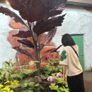 이씨네 상점 이미지