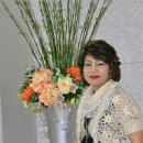 들꽃연가 이미지