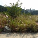 원주대표공인중개사사무소 이미지