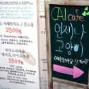 노블캣 | 대전 둔산동 언제나 고양이 카페, 고양이 천국이냥? 언제나 고양이 카페 후기