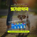 빛가온약국 네이버블로그