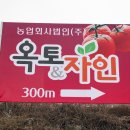옥토법인