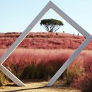 덕동 체육공원 이미지