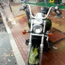 팔팔사 Daum카페