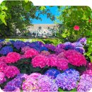 WR(서울특별시 강서구)-[마곡동로]-하-6 | 힐링하기 좋은 마곡 서울식물원 장미 수국 포토스팟 TOP3