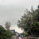 [2024] 전주여행 - 전주 한옥마을 숙박 시설 연우당 후기