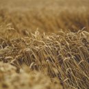 세계로종합상사 이미지