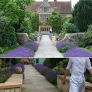 대규농장 이미지