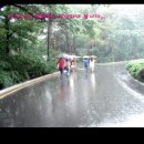 동물원에 여행가자 이미지