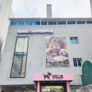 서울애견미용학원 이론부터 실습까지