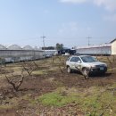 태평로 행정사사무소 이미지