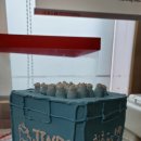 오시게로 이미지