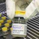 가메조네 이미지