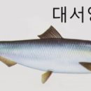 청어람로 티스토리