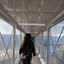 KOK 엔터테인먼트 | 홍콩여행 에어버스 A330-300 케세이퍼시픽 이코노미 CX417 / CX416 탑승기