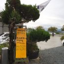 고색창연 자판기