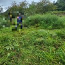 무주장의사 네이버블로그