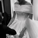 화이트벨 이미지