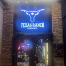 공원PC | 동탄호수공원 맛집 텍사스랜치 동탄호수공원 본점 미국식 동탄바베큐 후기