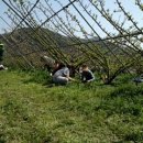 풀내음농장 이미지