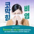 선이비인후과 네이버블로그