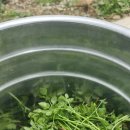 대은농장 이미지