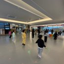 회암초등학교 이미지