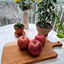 진이네농장 이미지