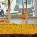 제일농장1 이미지