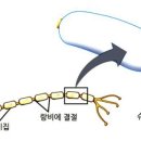더뉴런 이미지