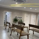 성모365의원 | 성모 25 방문후기(인천 계양구 365일 운영, 늦게까지 하는 병원) feat. 독감