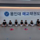 용인대 세심 태권도장 이미지