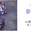 슈즈백