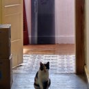 쇼핑할때 여기어때 이미지