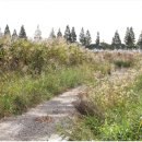 대부황금로 이미지